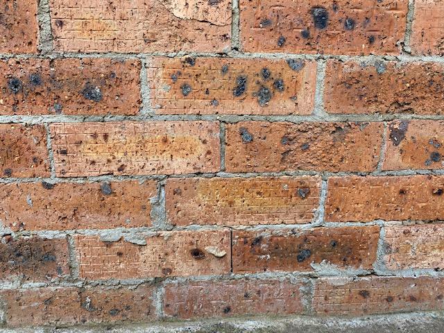 Hitting a brick wall with Symantec Support?